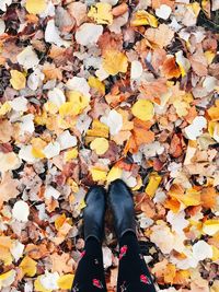 Low section of person standing on autumn leaves