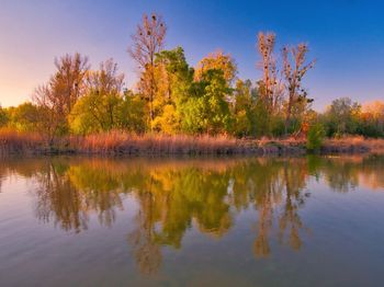 Reflection of trees in lake against sky