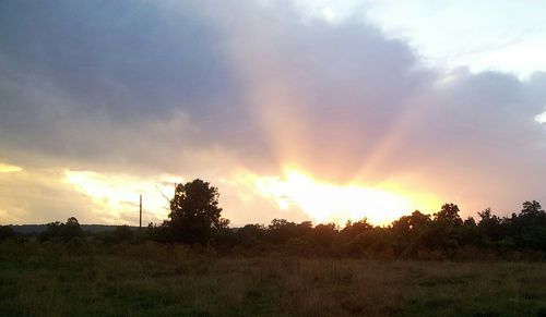 Scenic view of field against sky at sunset