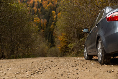 Road amidst trees in forest during autumn