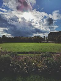 Scenic view of grassy field against cloudy sky on sunny day