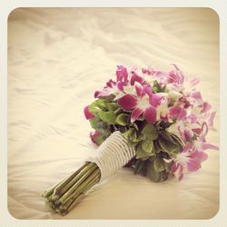 Close-up of pink flowers in vase