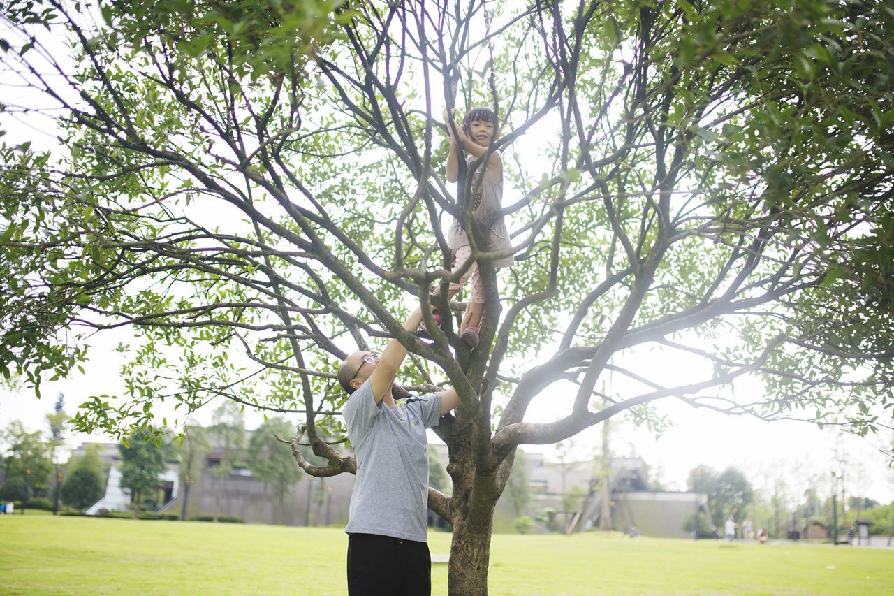 tree, building exterior, architecture, built structure, lifestyles, grass, leisure activity, tree trunk, branch, park - man made space, standing, men, day, bare tree, outdoors, person, casual clothing, growth