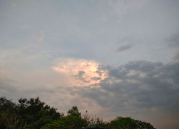 Low angle view of silhouette trees against sky at sunset