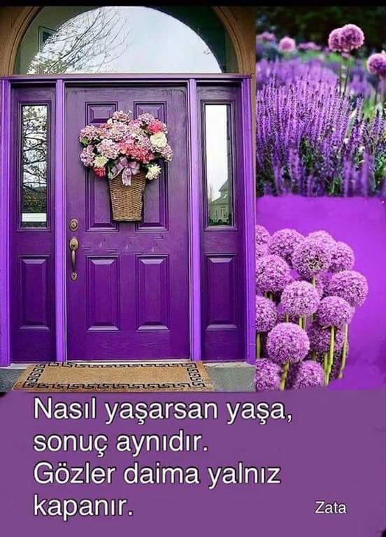flower, door, entrance, day, purple, no people, outdoors, architecture, plant