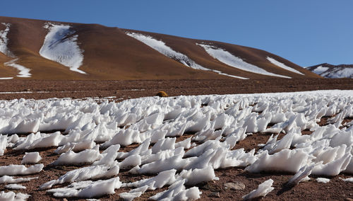 Scenic view of field against mountain