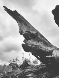 Low angle view of horse against sky