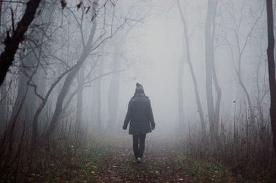 Rear view full length of woman walking amidst trees at forest during foggy weather