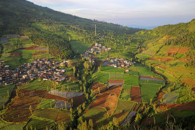 Scenic view of agricultural field