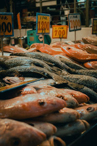 High angle view of seafood for sale