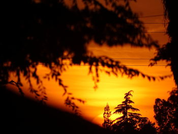 Close-up of silhouette trees against sky at sunset