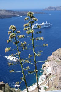 Scenic view of sea against blue sky