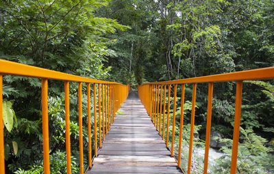 View of footbridge in forest