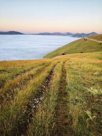 Scenic view of landscape