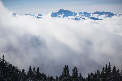 Low angle view of snowcapped mountains against sky