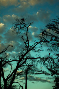 Low angle view of silhouette bare tree against dramatic sky