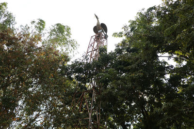 Low angle view of bird on tree against sky