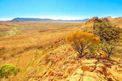 Scenic view of landscape against clear sky