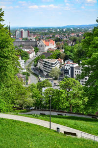 High angle view of trees and buildings in city