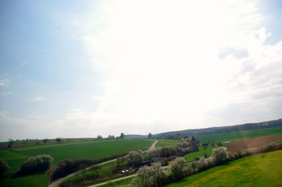 Scenic view of grassy field against sky