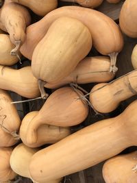 High angle view of pumpkins for sale at market stall