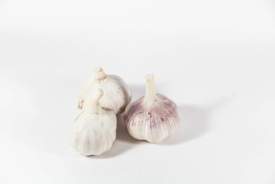 Close-up of pumpkins against white background