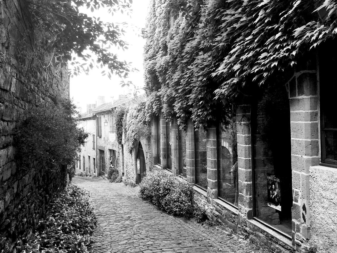 FOOTPATH AMIDST TREES AND BUILDINGS AGAINST SKY