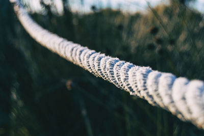 Natural jute rope wound on a pole