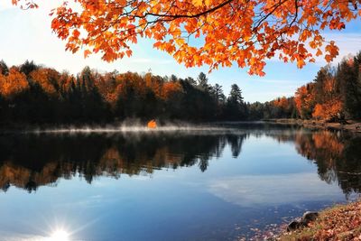 Scenic view of lake by trees against sky during autumn