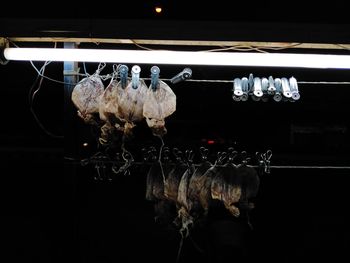 Close-up of jellyfish against black background