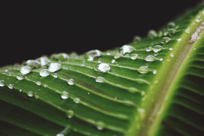 drop