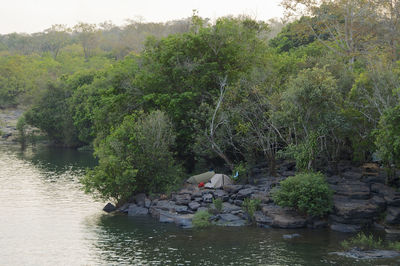 Scenic view of river in forest against sky