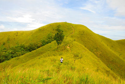 Scenic view of green landscape against sky