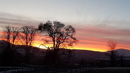 Silhouette bare trees on landscape against sky during sunset