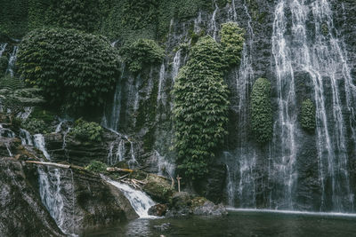 Scenic view of waterfall in forest