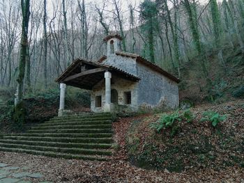 Abandoned house amidst trees in forest