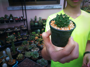 Midsection of woman holding ice cream in potted plant