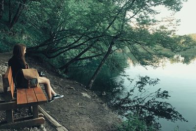 Rear view of woman sitting on bench in forest