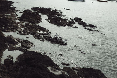 High angle view of rocks on shore