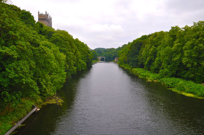 River amidst trees against sky