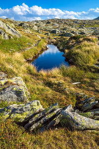 Scenic view of landscape against sky