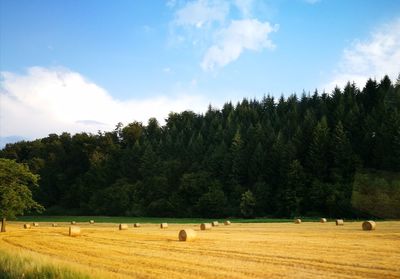 Hay bales on field against sky