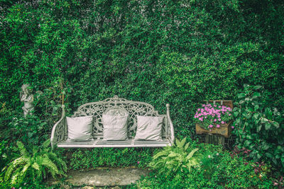 Table and plants against trees