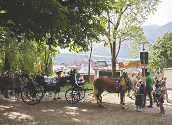 Horse carriage amidst people during wedding