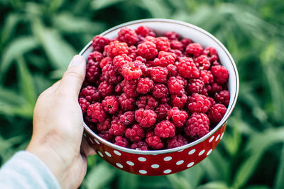 Cropped hand of woman holding berries in container