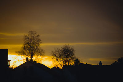 Silhouette trees against orange sky