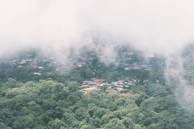 High angle view of trees on mountain during foggy weather