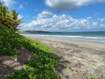 Scenic view of beach against sky