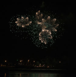 Firework display at night