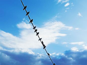 Low angle view of silhouette birds on cable against sky